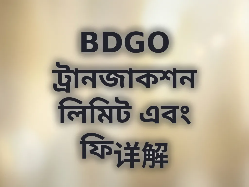পেমেন্ট লিমিট গাইড
